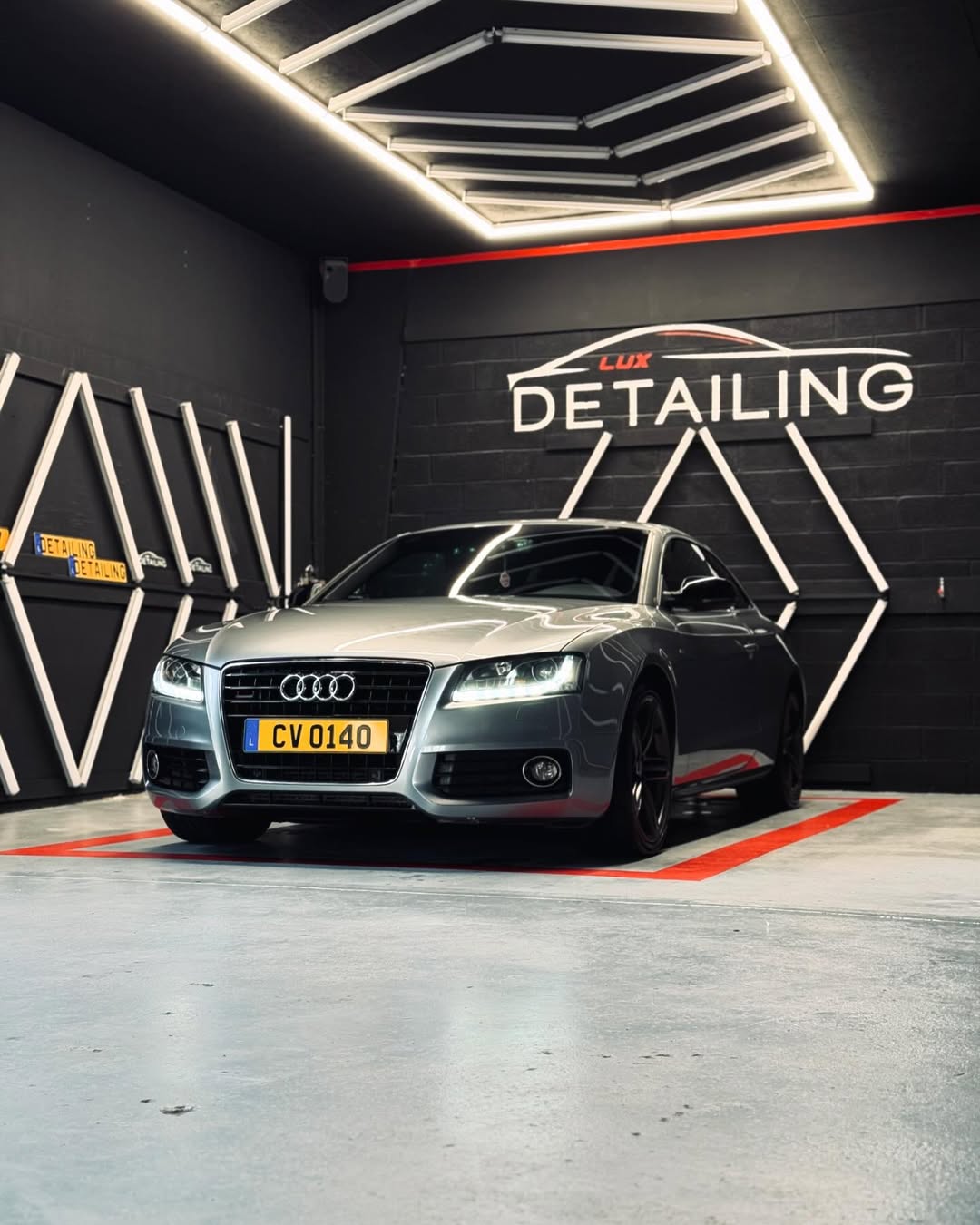 Professional auto detailing